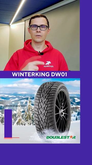 Doublestar Winterking DW01 #шиномонтаж #шины #авто