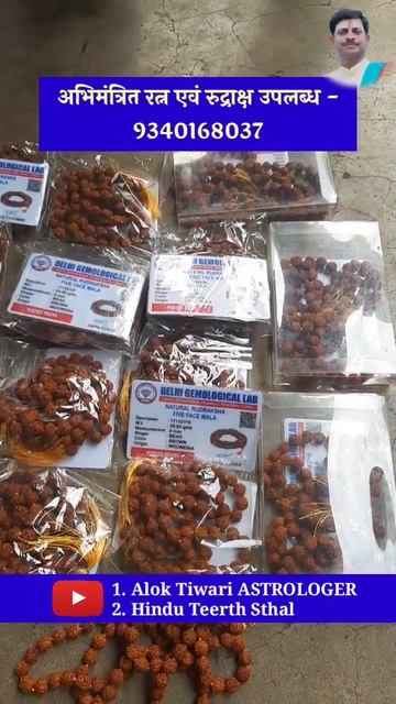 Rudraksh Ki Divy Jaap Mala. Rudraksh ki mala. रुद्राक्ष की जाप माला। रुद्राक्ष माला के लाभ और महत्व
