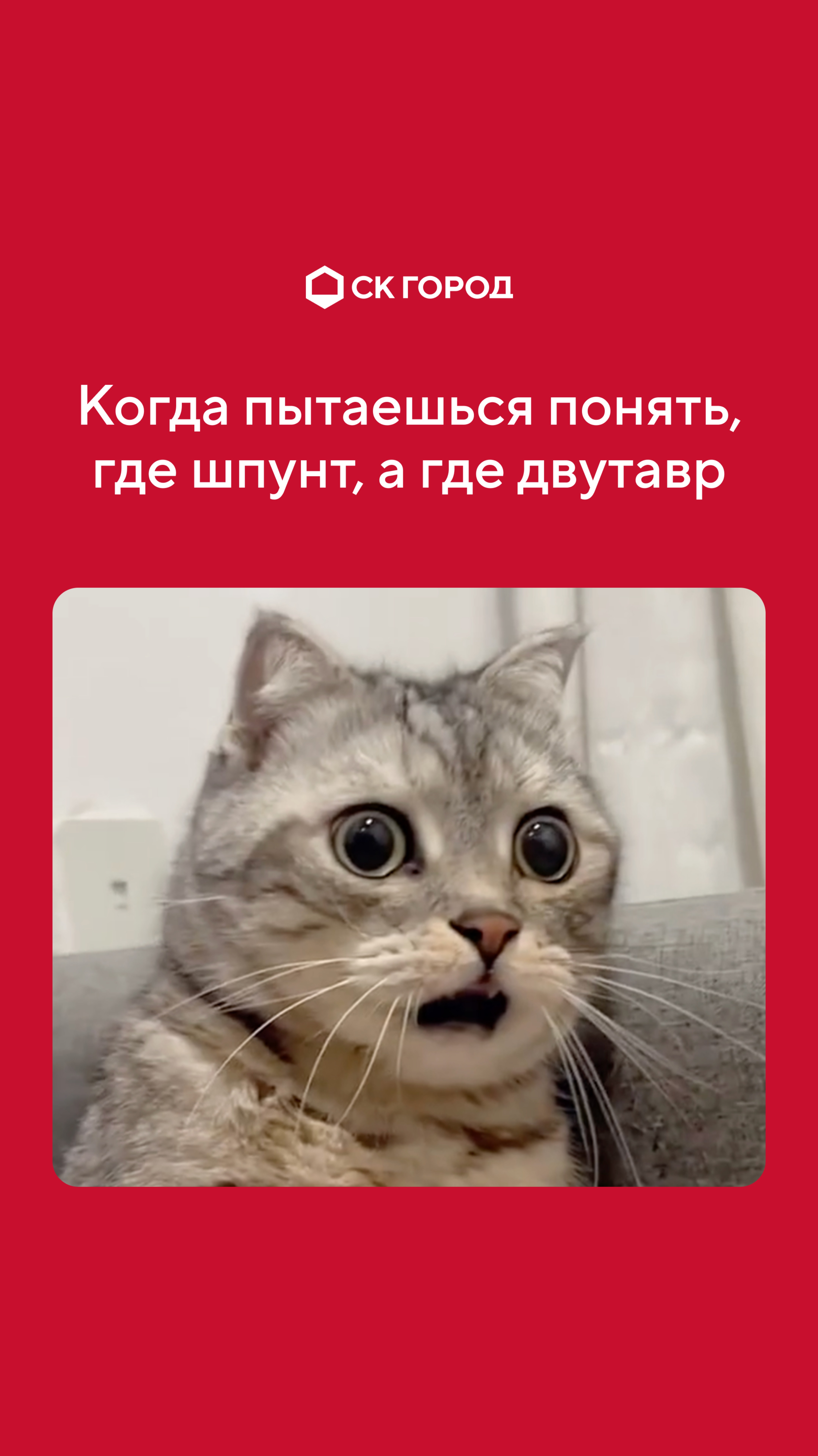 Рассказываем 👇
