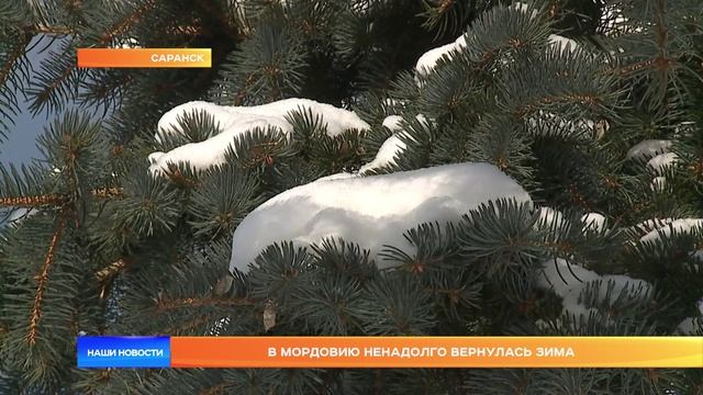 В Мордовию ненадолго вернулась зима