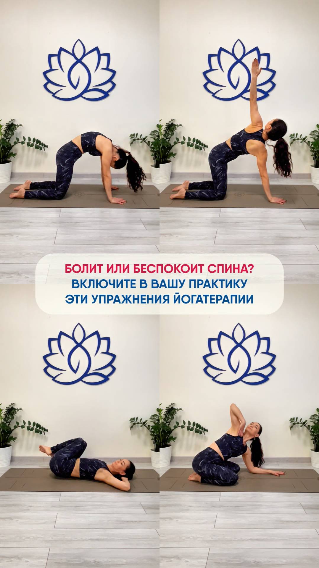 Полезные упражнения для здорового и гибкого позвоночника