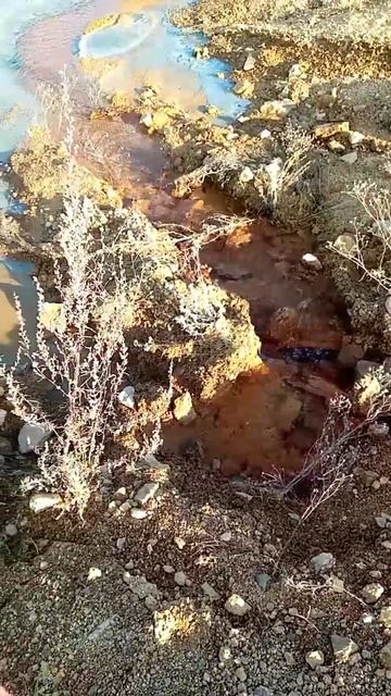 осенние грунтовые Воды!