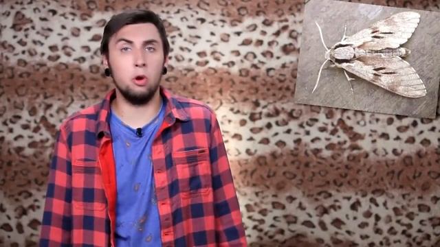 +100500 ПОДБОРКА ПРИКОЛОВ