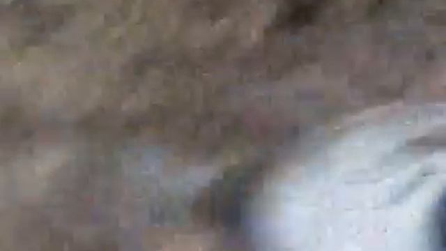 Сапоги 1