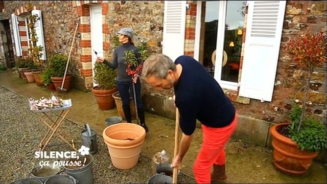 Comment planter un malus sur tige en pot - Silence, ça pousse !