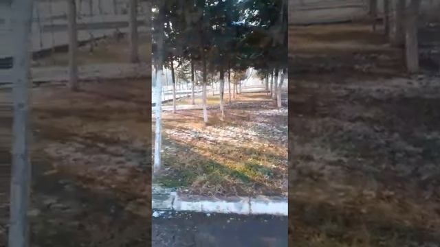площадка лицей турки Курган бохтар