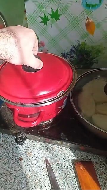 480p_Мы_с_тимофеевной_решили_пожарить_котлеты