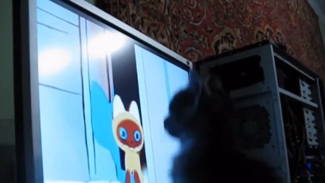 Кот Чувак смотрит мультик