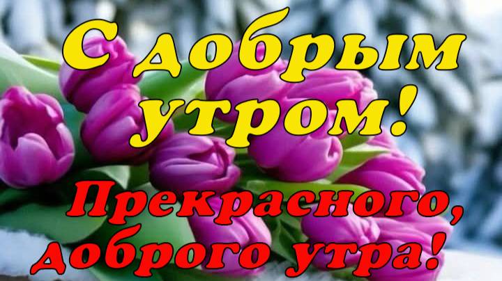 С добрым утром!🌹 Прекрасного доброго утра!