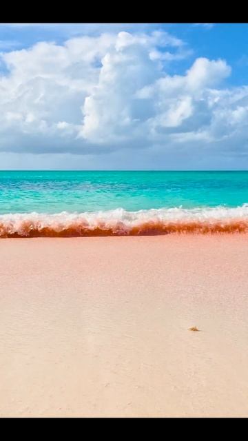 Pink Sand Beach located in Beautiful Barbuda!!