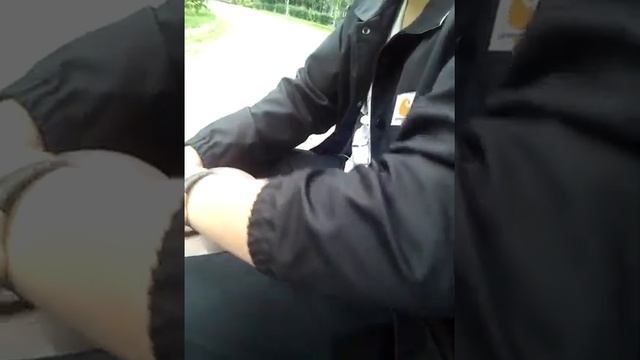 Шарик не относится к "оно", расслабьте булки