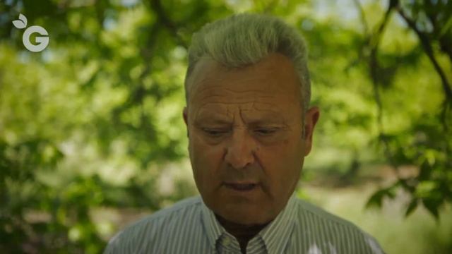 MANEJO ECOLÓGICO DEL NOGAL PACANO EN EL VALLE DEL GUADALHORCE