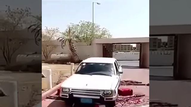салам алейкум