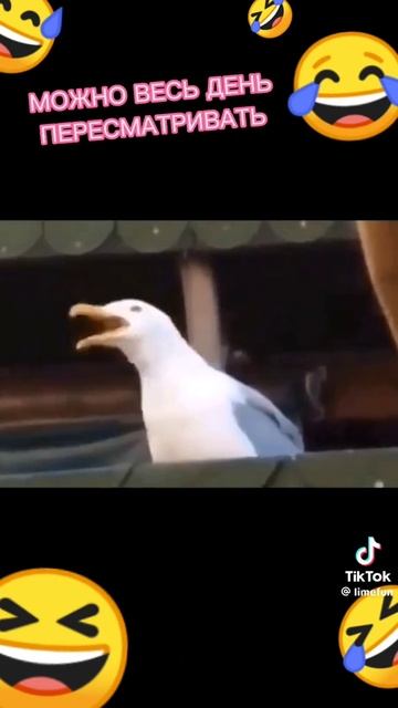 прикол
