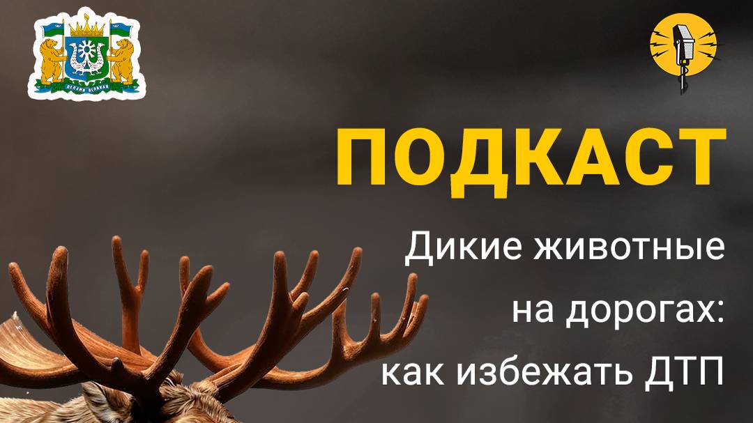 Подкаст на тему: «Дикие животные на дорогах: как избежать ДТП»