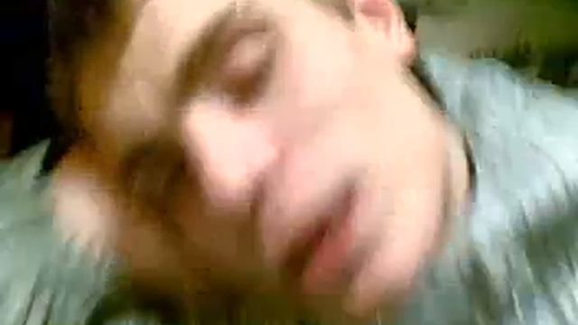 Мезя - сонный фристаил