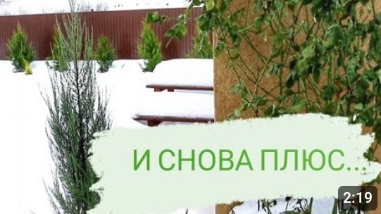 И СНОВА ПЛЮС... ИДЁТ ДОЖДЬ И ТАЕТ СНЕГ. 17.12.2023г. БЕЛАРУСЬ, ГОМЕЛЬСКАЯ ОБЛАСТЬ