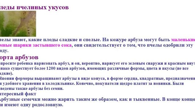 Как выбрать спелый и сочный арбуз