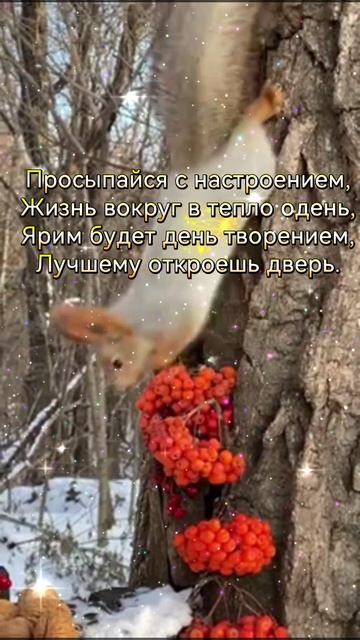 С Добрым утром!