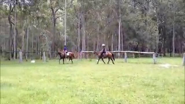 Cassia, Misty , Thomas and Athens