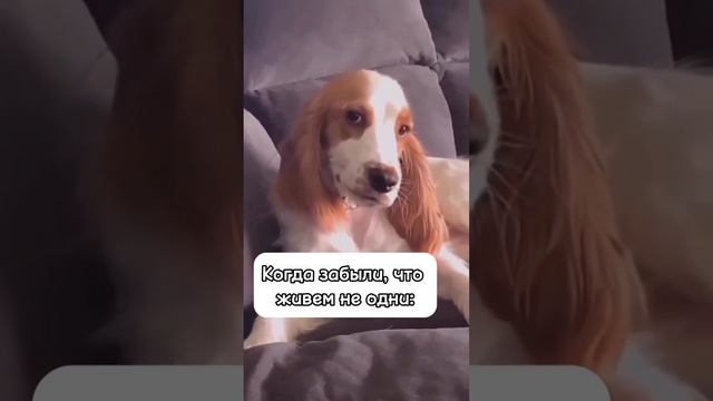 Мы были счастливы с тобой!