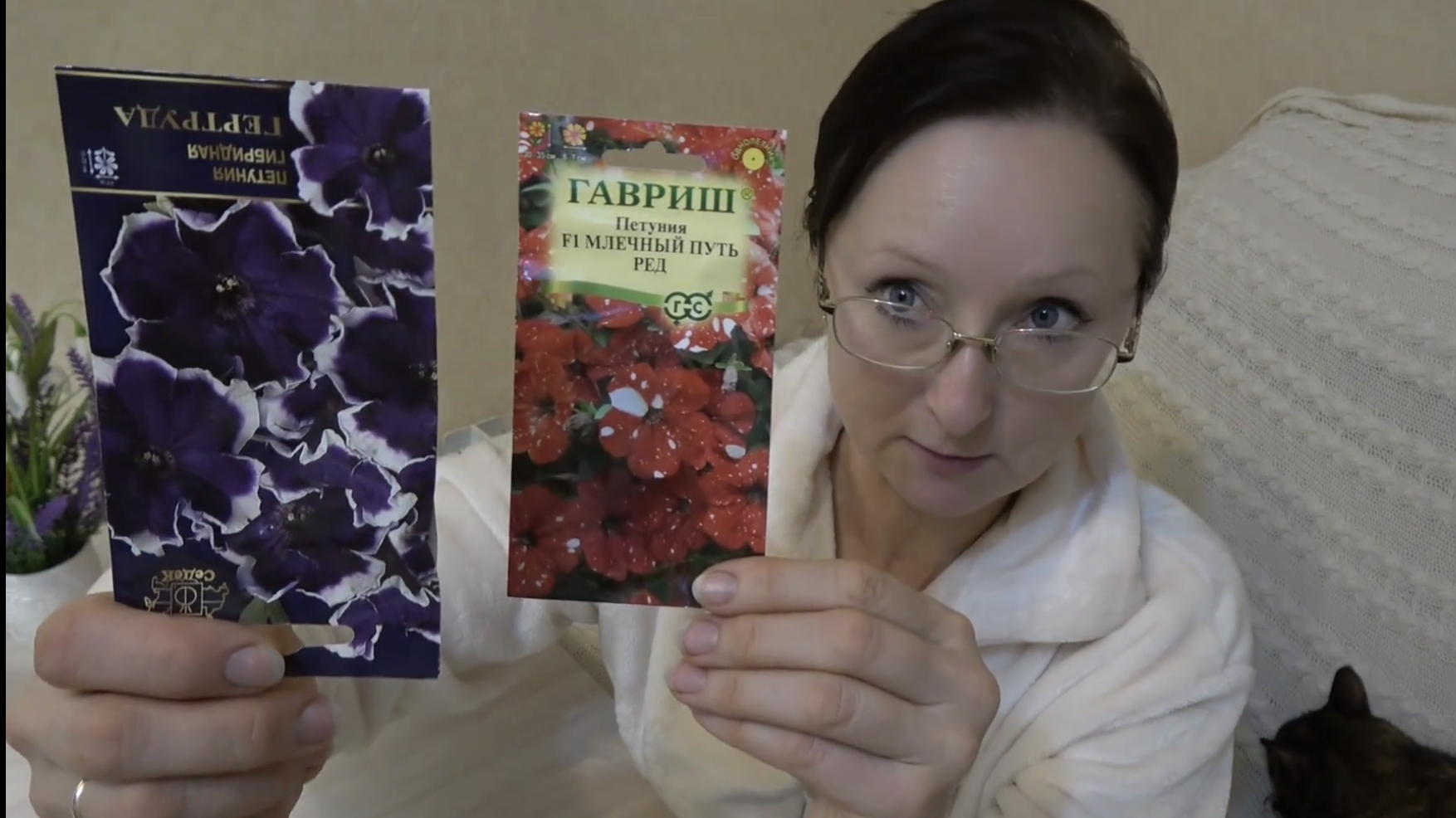 Середина февраля 2025 года. Сею петунии. Готовлю корзиночки с творогом и клубникой...