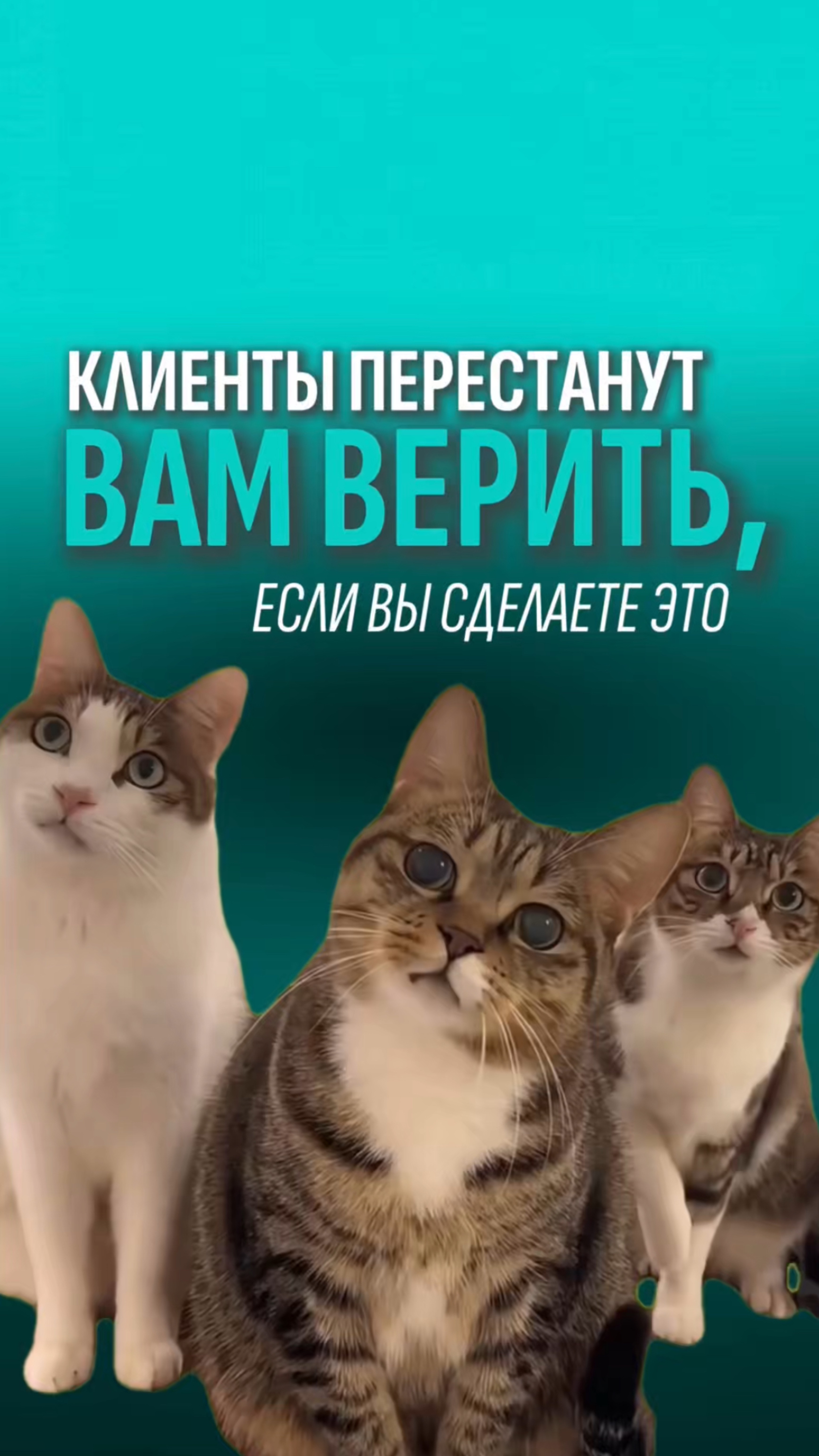 Клиенты перестанут вам верить, если вы сделаете ЭТО