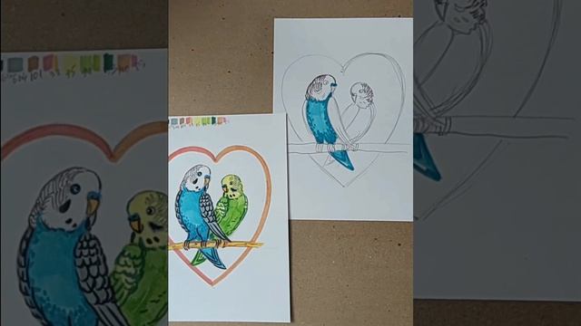 Попугайчики ❤️
