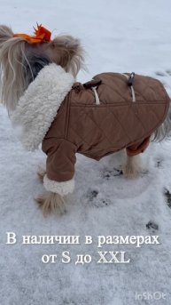 Стильные курточки на собачек от «Модные лапки» https://vk.com/modnielapkimoskva