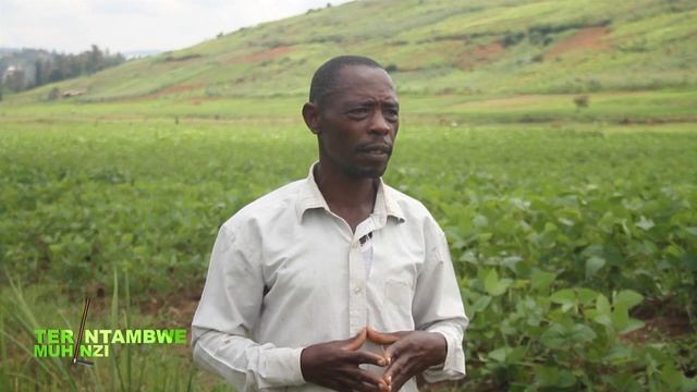 Sobanukirwa ubuhinzi bwa Soya