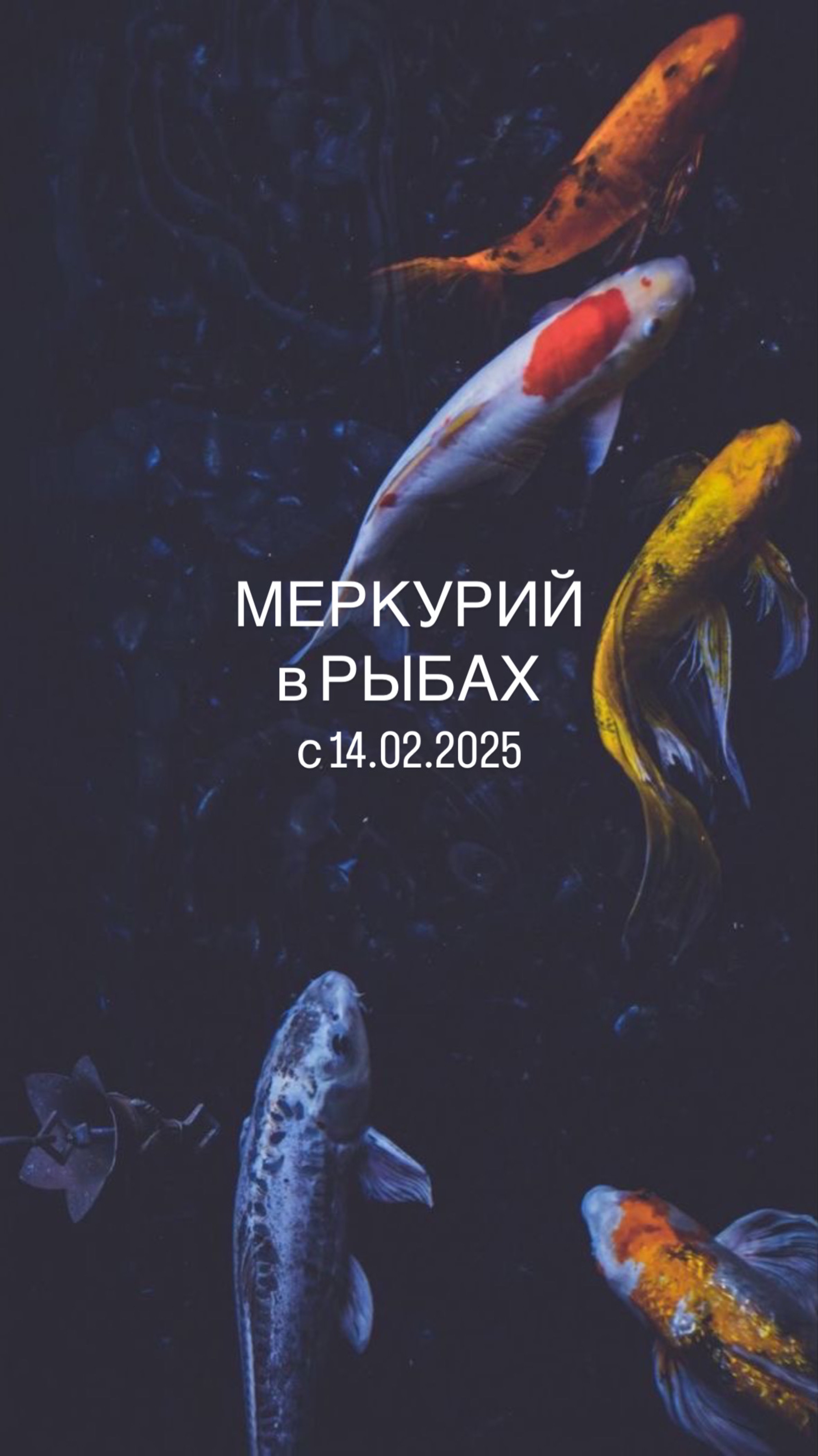 Меркурий в Рыбах