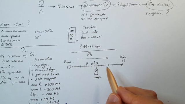 Просто и понятно о важном