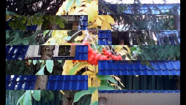 осень