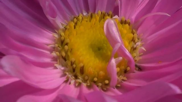 full macro test