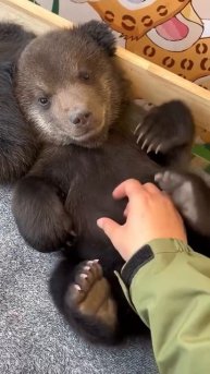 VID_20250217_081623.MP4