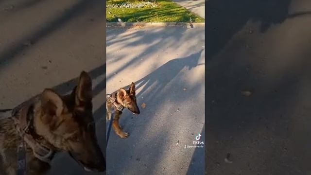 Один. 4 месяца. Птички.