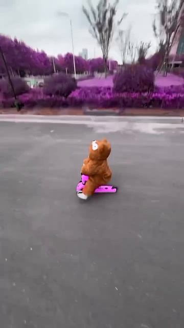 17-02-2025