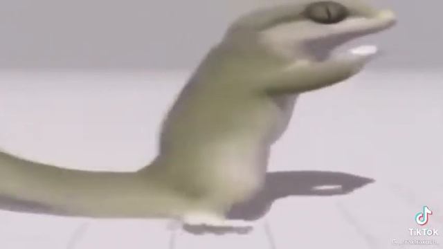 ландыши🗿🥵😰