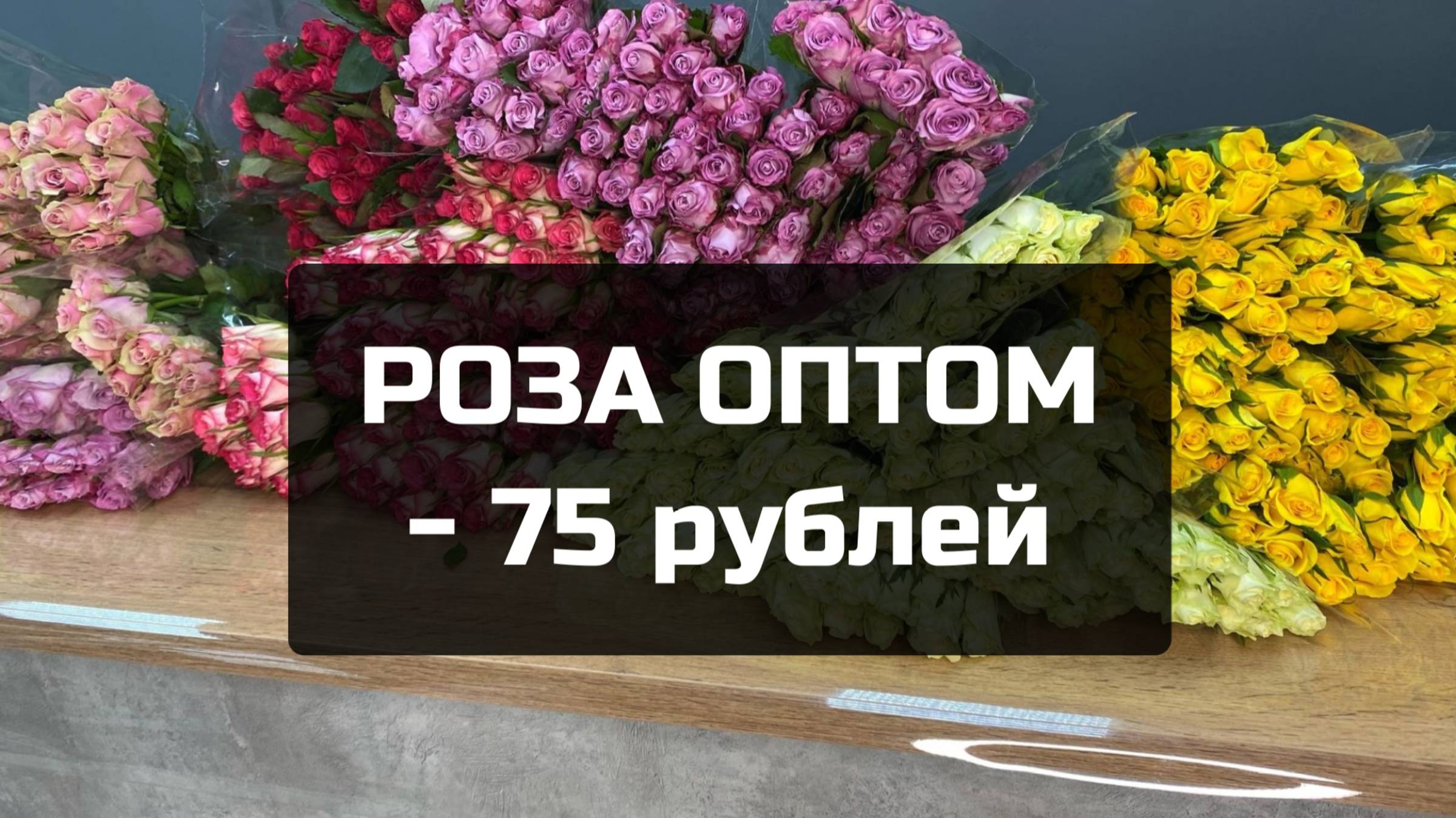Розы оптом в Краснодаре