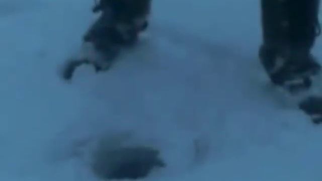Рыбалка 31 декабря.AVI