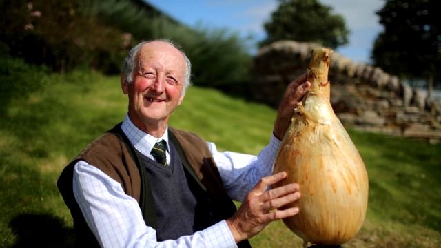 Проект лук 3В Соня Давыдова