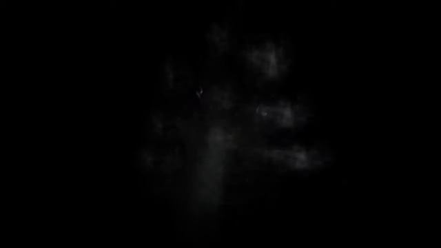 normal ivictus black screen