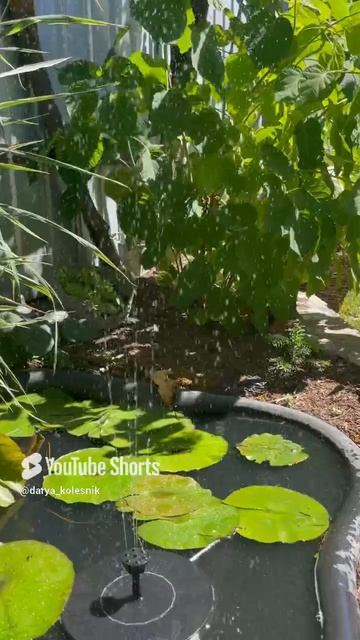 Воспоминания о лете🌱