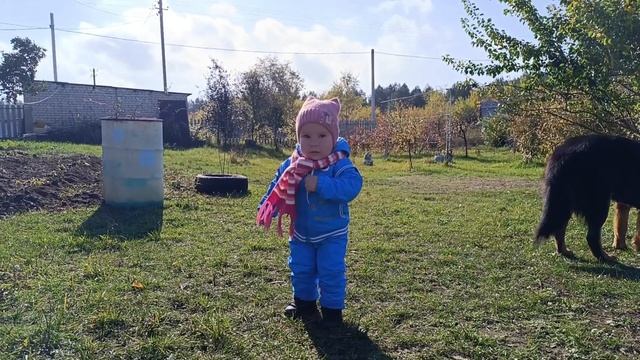 Уборка у кроликов. Зачем нам мох.