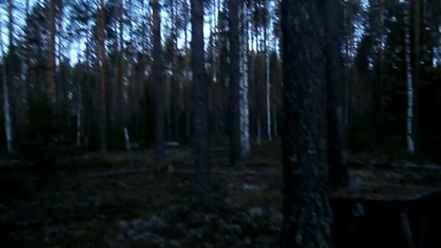 На этом месте в прошлом году встретил медведя