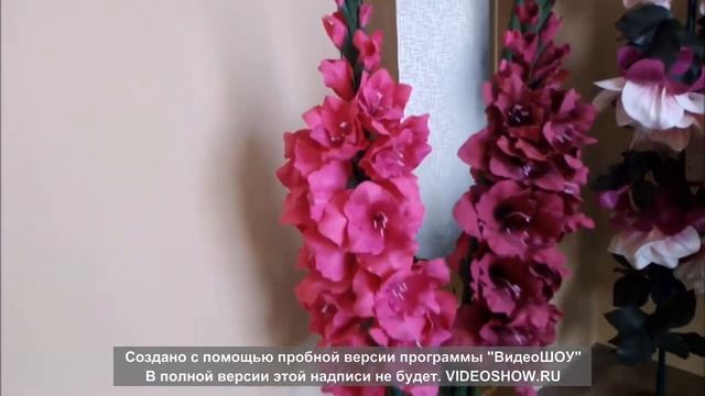 Обзор ГЛАДИОЛУСОВ РОСТОВЫХ.   ЕСТЬ В НАЛИЧИЕ.