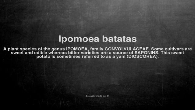 Medical vocabulary: What does Ipomoea batatas mean