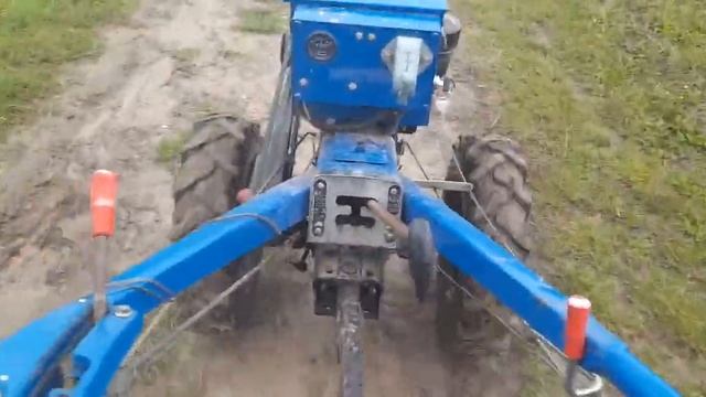 везу буряк після дощу