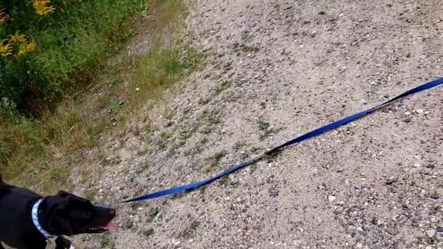 Week 1 Private Lesson Long Line with Jasmine