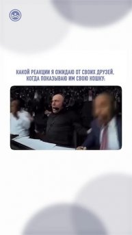 какой реакции я ожидаю